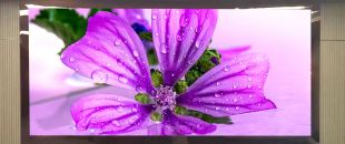 連鎖火鍋店老板哭訴：門頭LED廣告機讓我多賺了110萬，但千萬別學(xué)我踩這3個坑！”