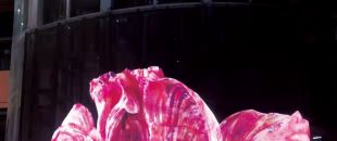 led屏為什么會(huì)流行起來？都有什么特點(diǎn)？