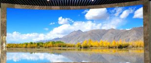 小間距l(xiāng)ed顯示屏未來的發(fā)展前景怎么樣？